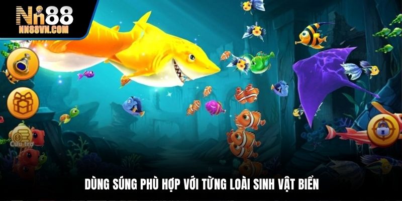 Dùng súng phù hợp với từng loài sinh vật biển