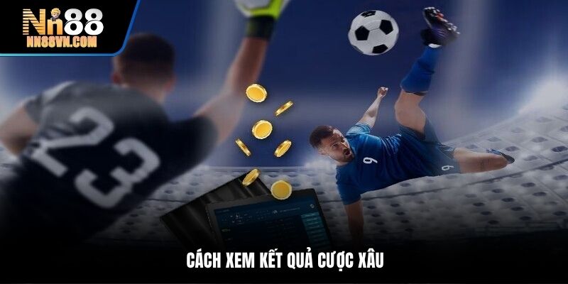 Cách xem kết quả cược xâu
