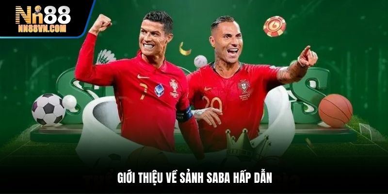 Giới thiệu về sảnh Saba hấp dẫn